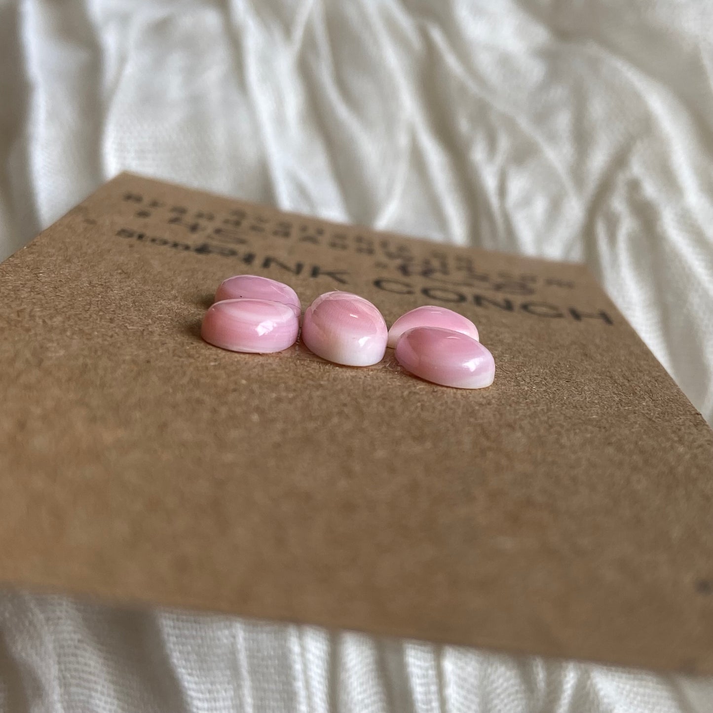 Pink Conch Cabochon - PC33 98857A85-710C-4C25-B72E-F30E8BE66900 Brandedandwild.com