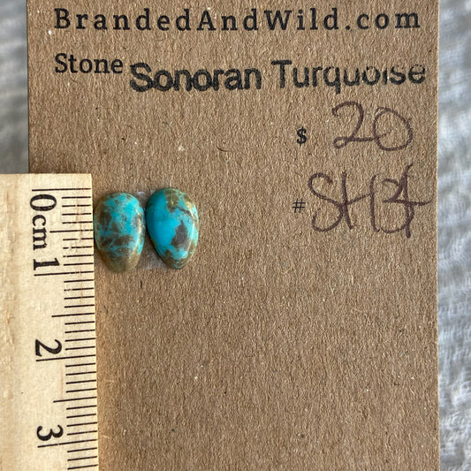 Sonoran Turquoise Cabochon - ST134