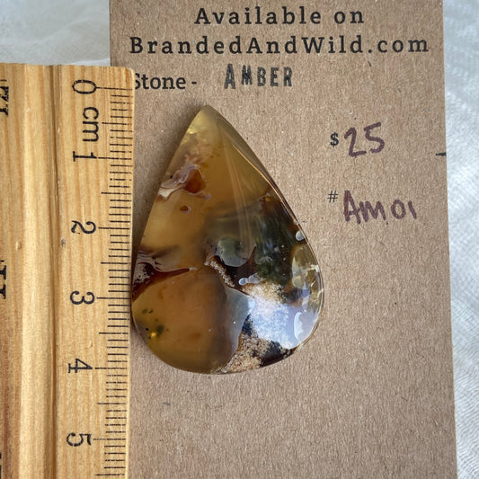 Amber Cabochon AM01