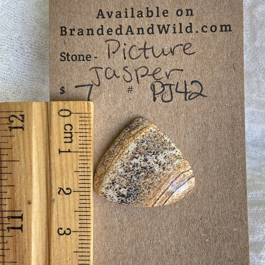 Picture Jasper Cabochon - PJ42