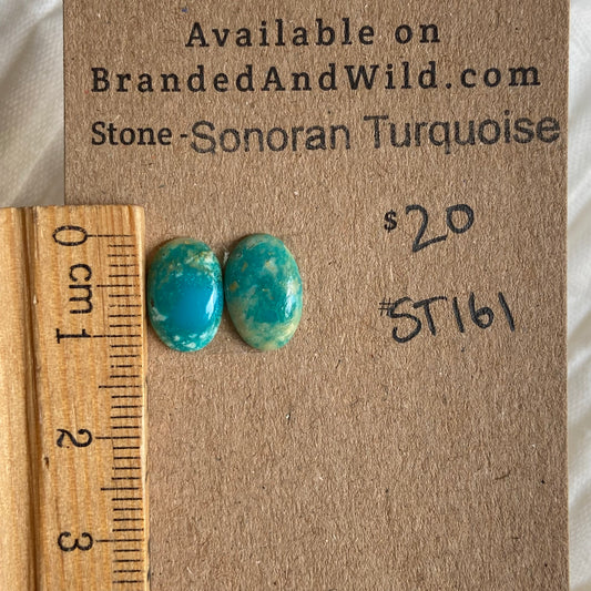 Sonoran Turquoise Cabochon - ST161 98D26FA8-8AD9-481F-A2C2-11817052941D Brandedandwild.com