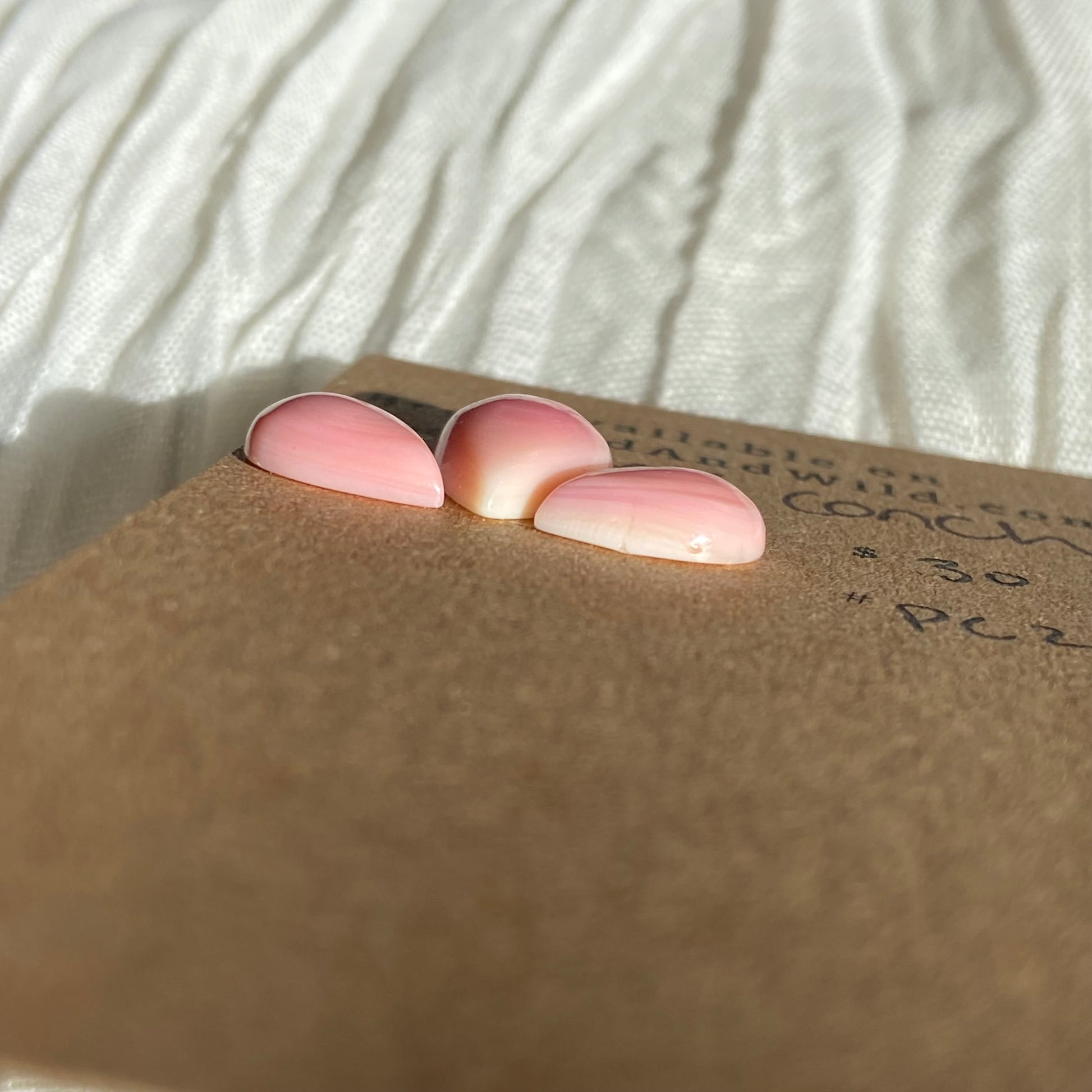 Pink Conch Cabochon - PC21 98EAD37E-A7E3-487F-B953-47942AC2CA33 Brandedandwild.com