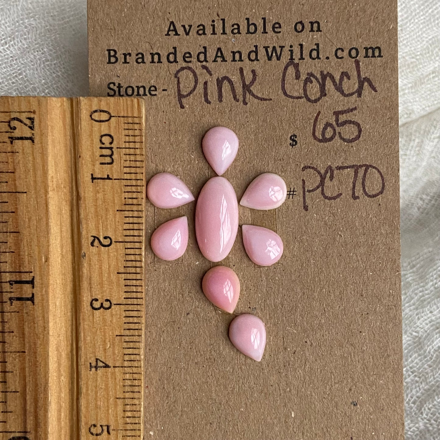 Pink Conch Cabochon - PC70