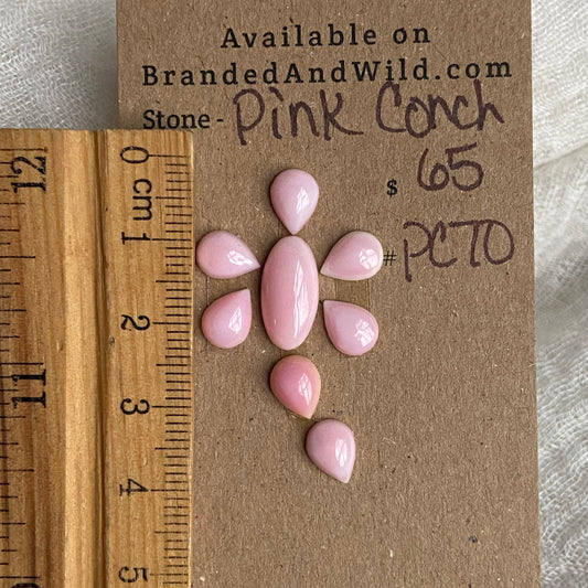 Pink Conch Cabochon - PC70