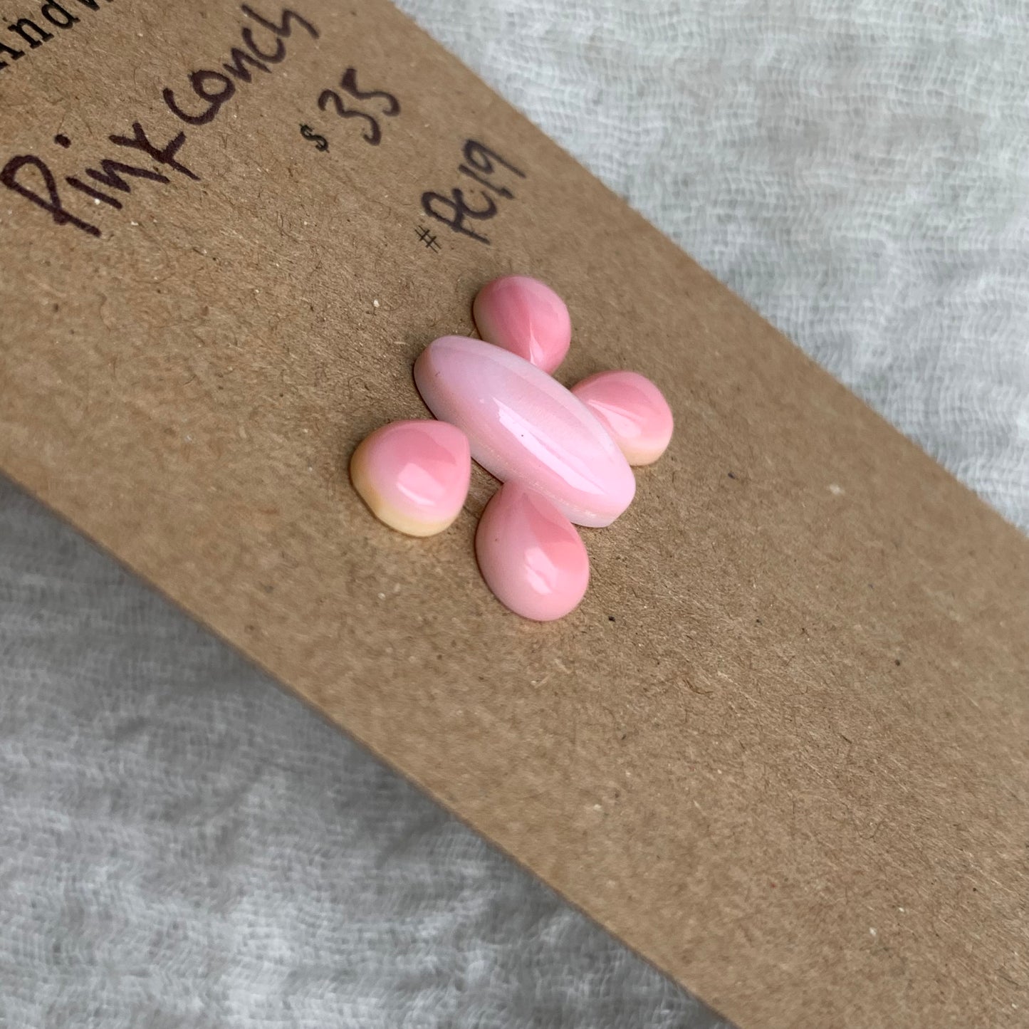 Pink Conch Cabochon - PC19