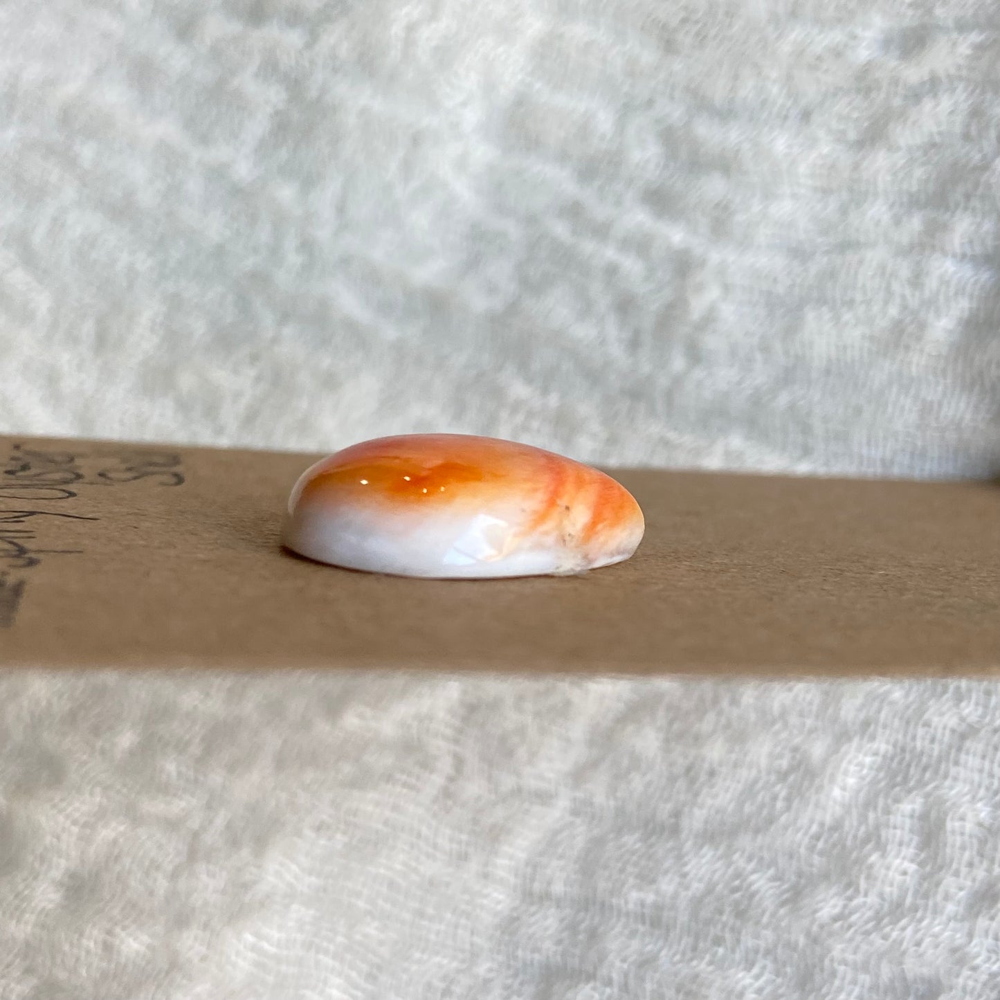 Oyster Shell Cabochon - OS98