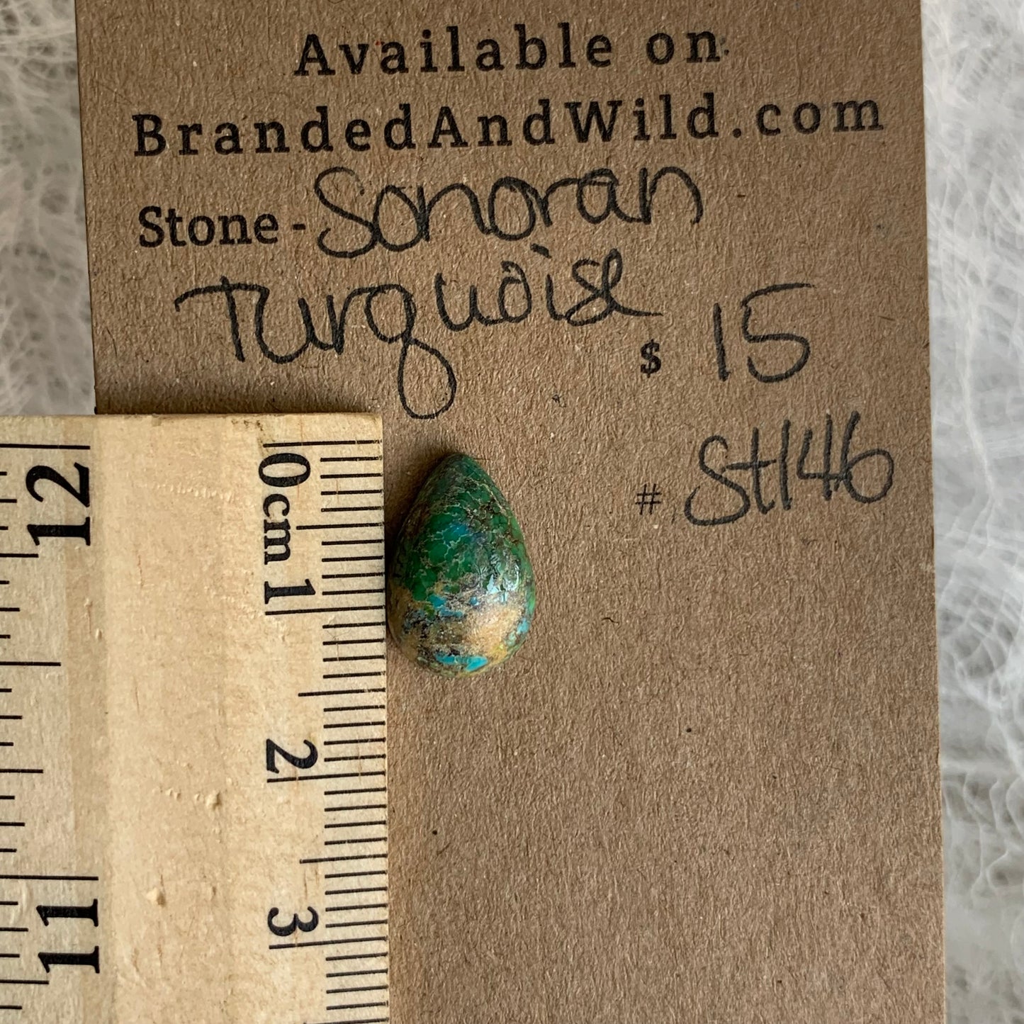 Sonoran Turquoise Cabochon - ST146