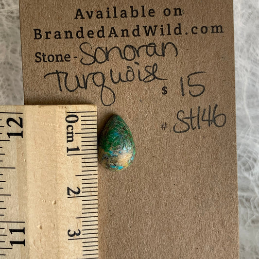 Sonoran Turquoise Cabochon - ST146