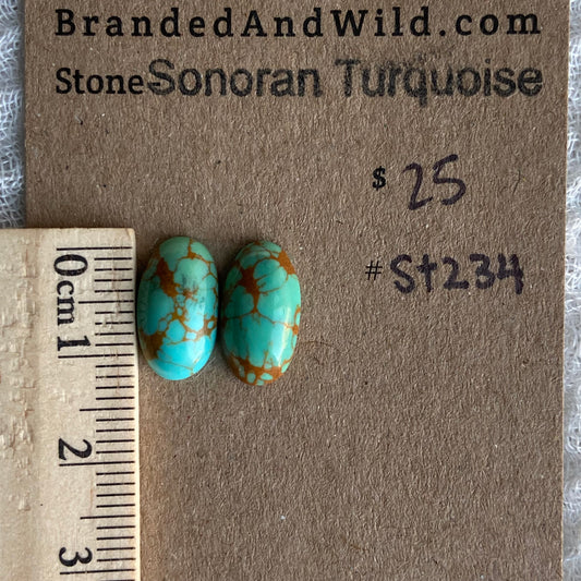 Sonoran Turquoise Cabochon - ST234