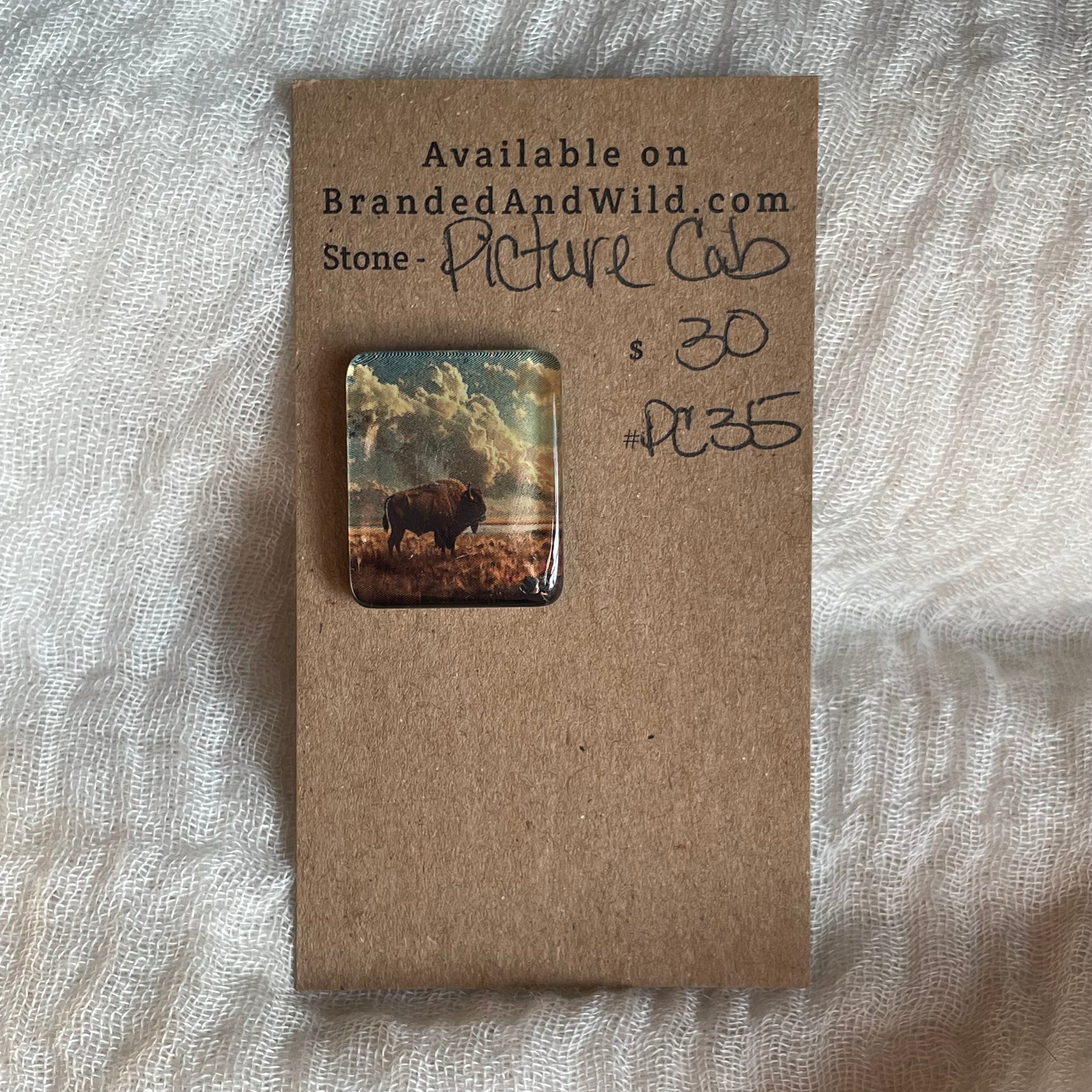 Picture Cabochon - Cabochon - PC35 994ADB4D-97F0-4F88-AF3C-074A25FDC3BB Brandedandwild.com