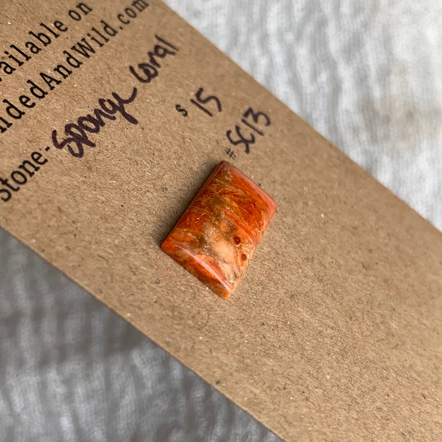Sponge Coral Cabochon - SC13