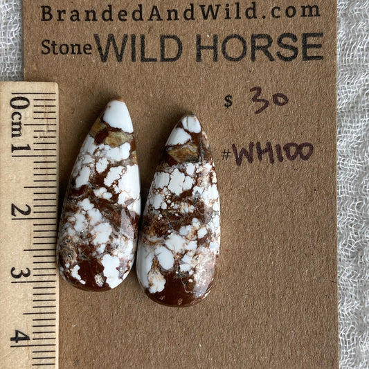 Wild Horse Cabochon - WH100