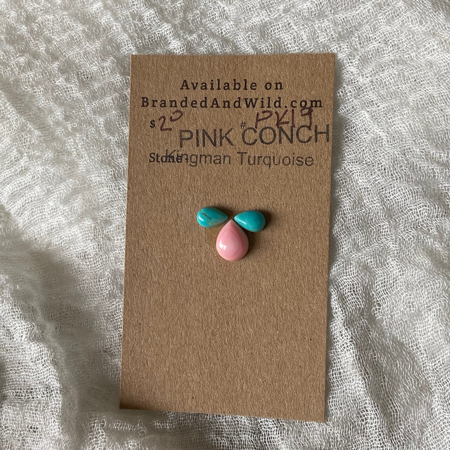 Pink Conch / Kingman Turquoise Cabochon - PK24