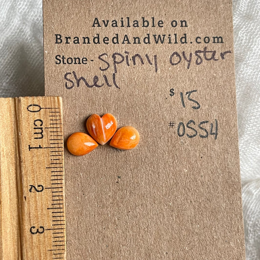 Spiny Oyster Shell Cabochon - OS54 99CC5352-888B-4ED7-8EA3-F916FBB590F7 Brandedandwild.com