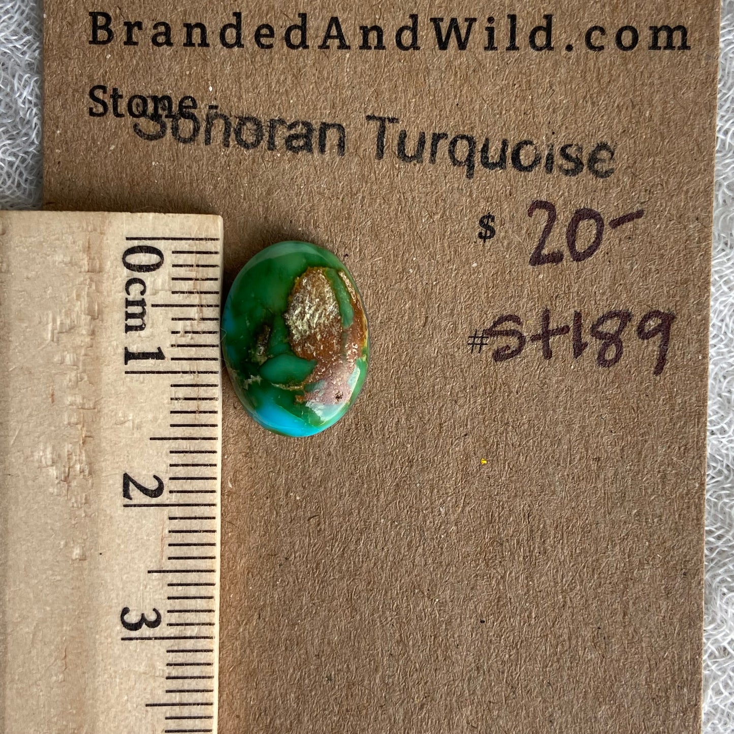 Sonoran Turquoise Cabochon - ST189
