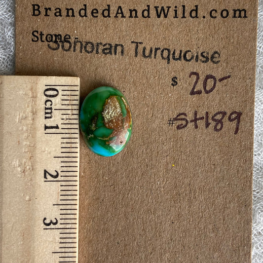 Sonoran Turquoise Cabochon - ST189