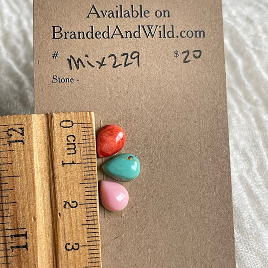 Oyster Shell Mix Cabochon - MIX229 99E9D510-7367-49B6-B06F-A5EB320BECC2 Brandedandwild.com