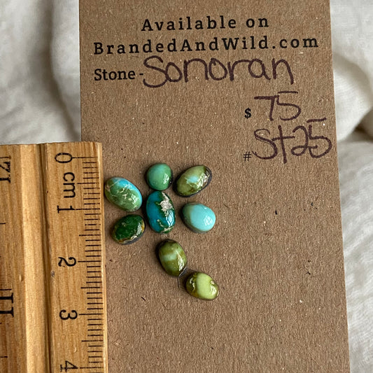 Sonoran Turquoise Cabochon - ST25