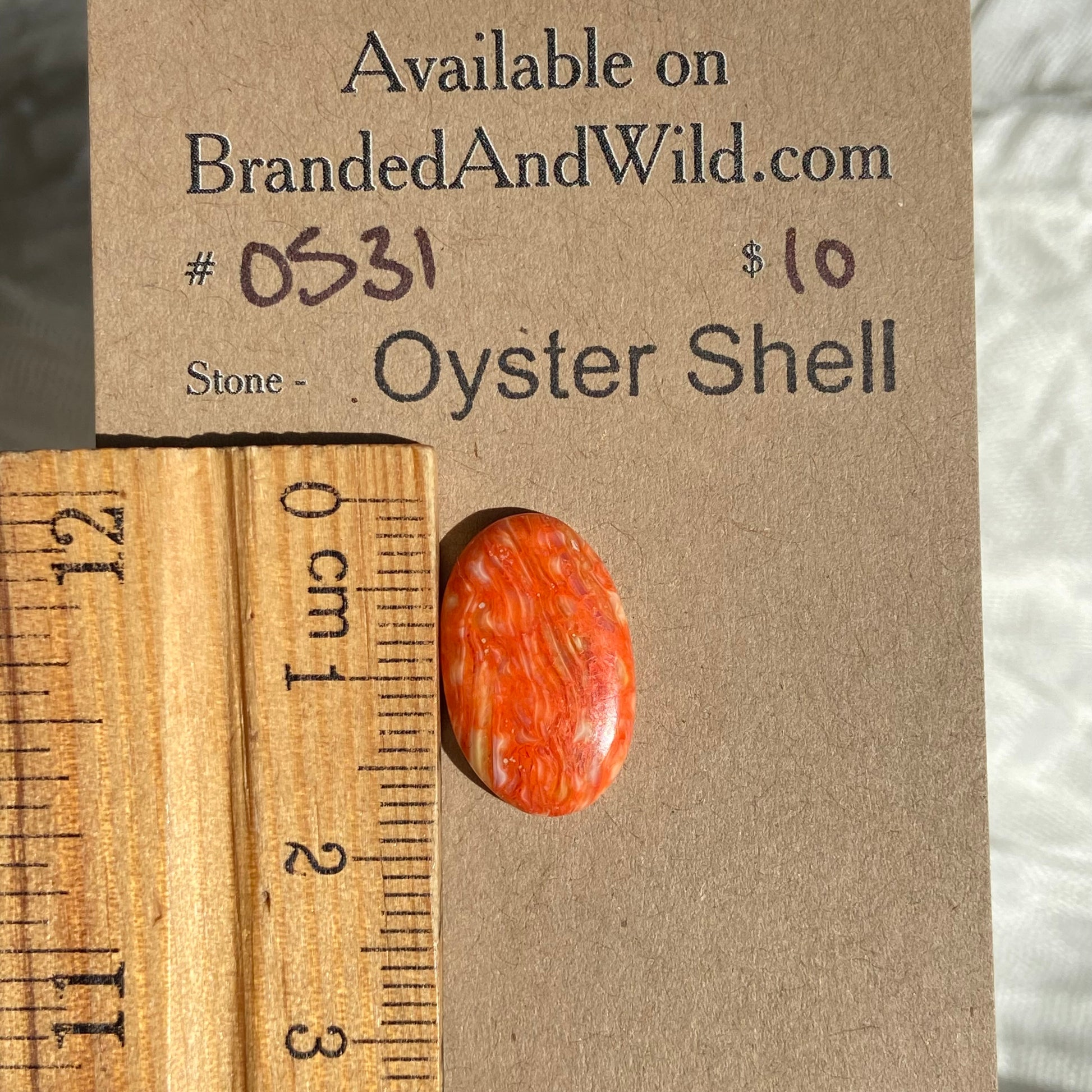 Oystershell Cabochon - OS31 99F532FB-9B5E-4B00-9B67-09D9D75EDAB0 Brandedandwild.com