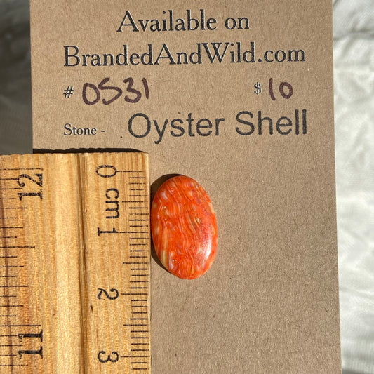 Oystershell Cabochon - OS31 99F532FB-9B5E-4B00-9B67-09D9D75EDAB0 Brandedandwild.com