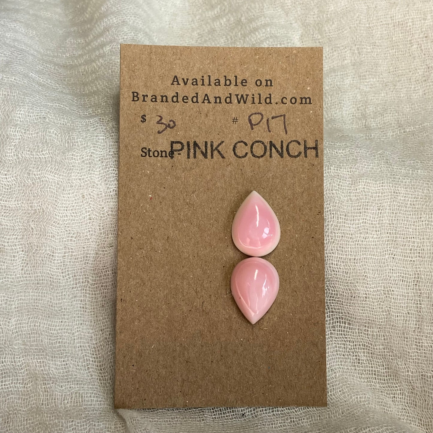 Pink Conch Cabochon - PC17 99FA2EAF-B456-4BC5-97CB-627F47E28B42 Brandedandwild.com