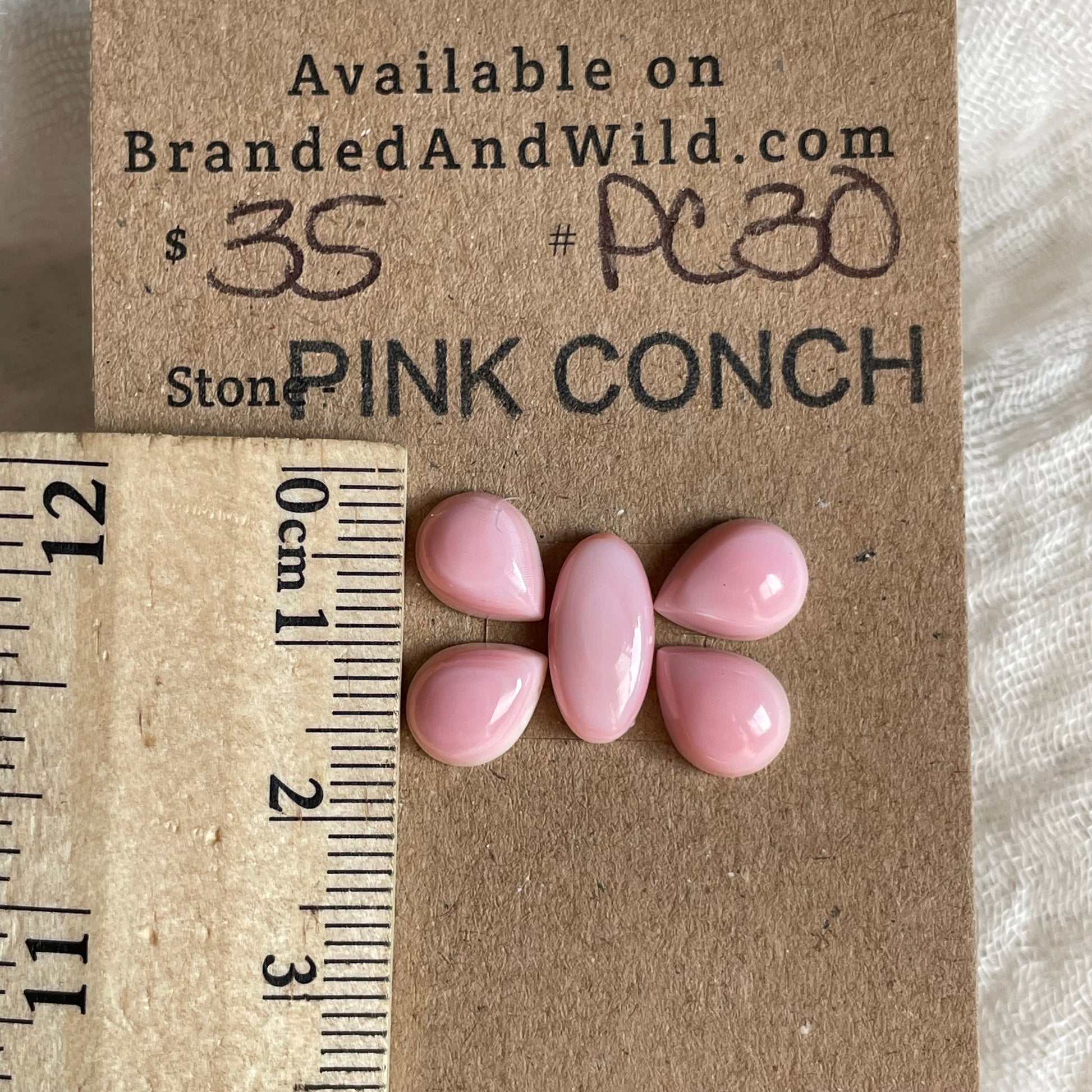 Pink Conch Cabochon - PC30 9A3E212B-F122-4A0E-8112-599F205CB29B Brandedandwild.com