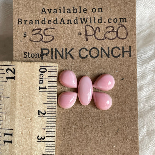 Pink Conch Cabochon - PC30 9A3E212B-F122-4A0E-8112-599F205CB29B Brandedandwild.com