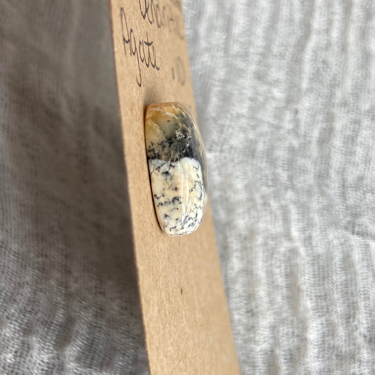 Dendritic Agate Cabochon - DA21