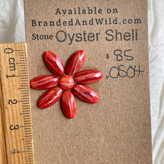 Oyster Shell Cabochon - OS04 9AB8FCF5-13F6-45FD-8D0B-F38FD66E72D5 Brandedandwild.com