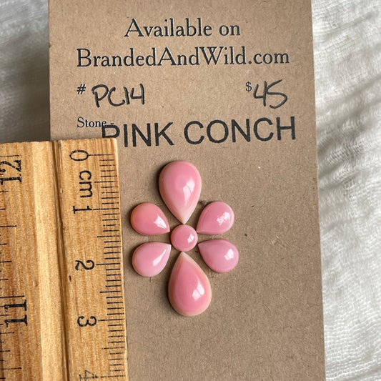 Pink Conch Cabochon - PC14 9ABFB3E8-D148-4F6E-ABD0-399FEAB744D4 Brandedandwild.com