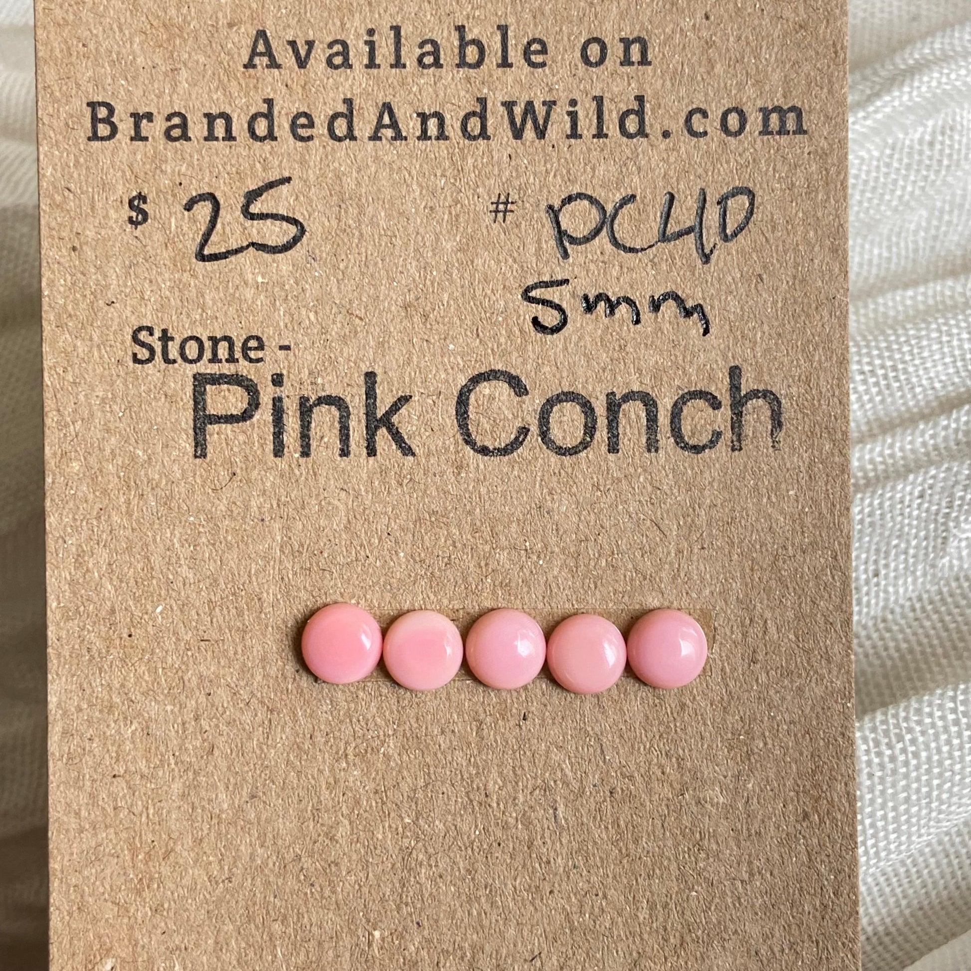 Pink Conch Cabochon - PC40 9AC7799C-E10D-433D-A4A2-87DFE3224CAD Brandedandwild.com