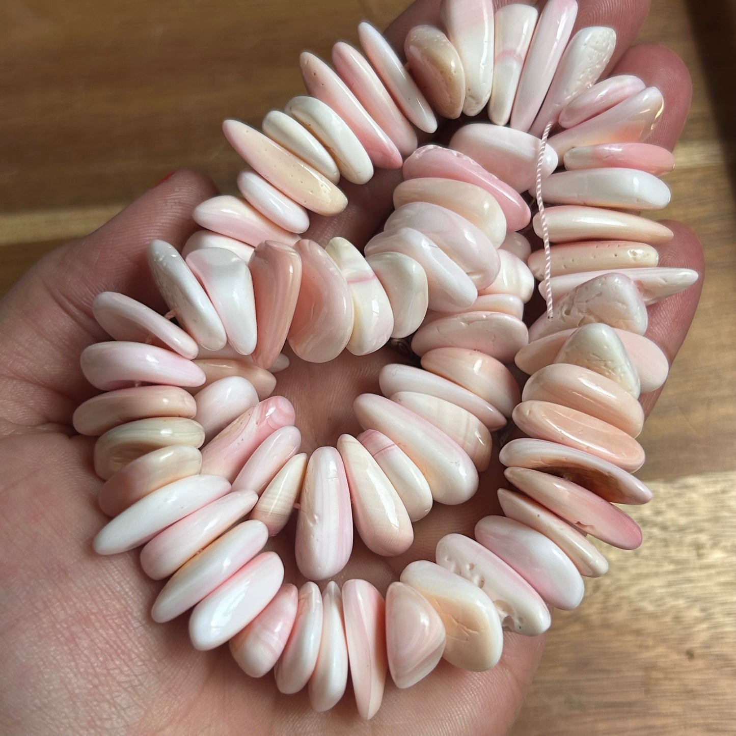 Pink Conch Shell Chips Beads 16 inches