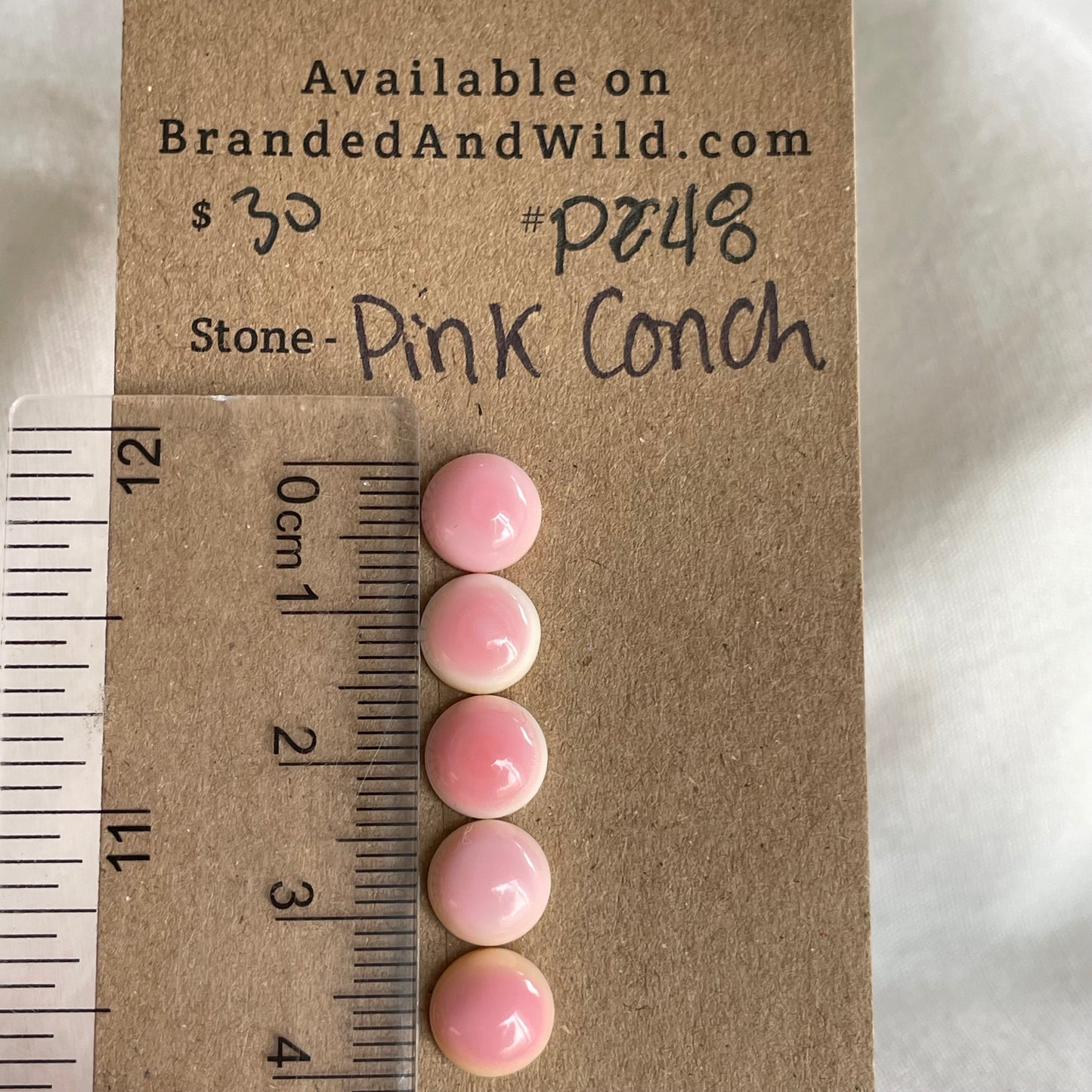 Pink Conch Cabochon - PC48