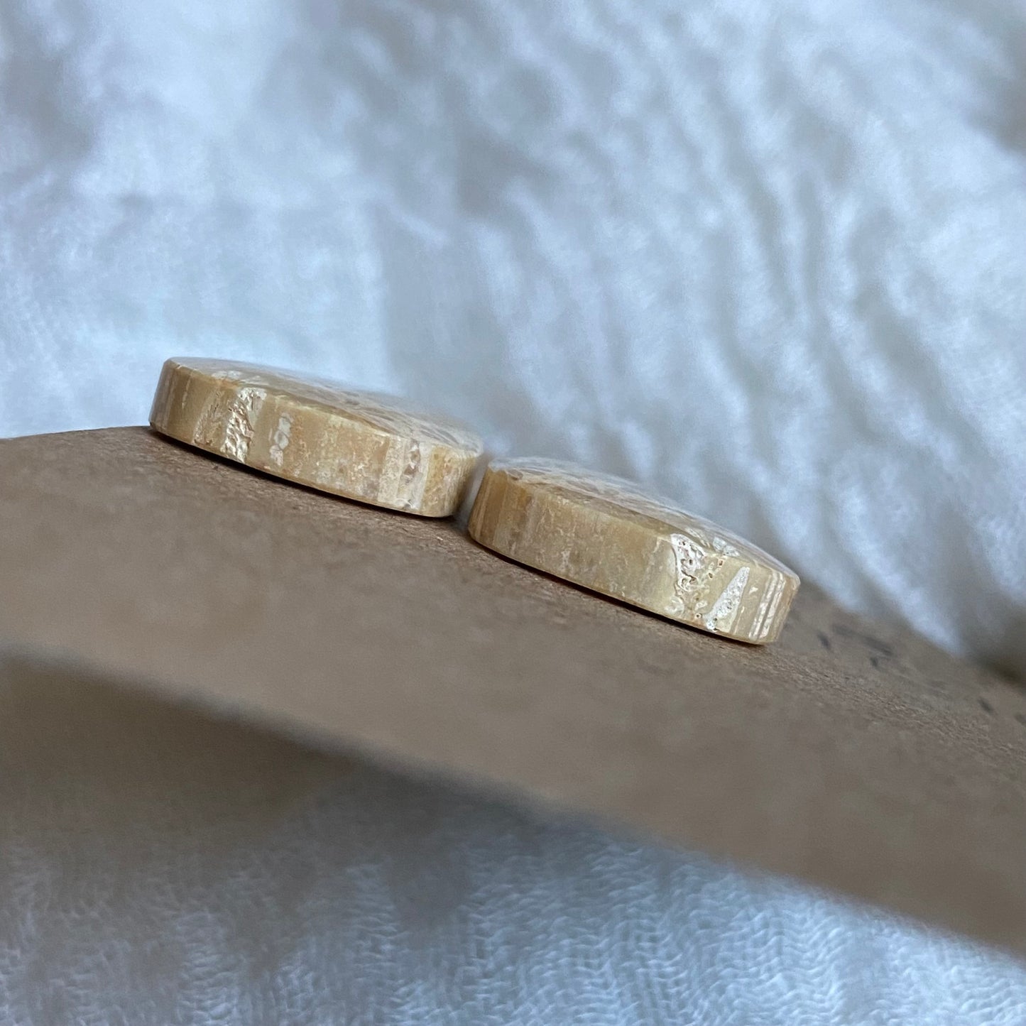 Fossil Coral Cabochon - FC41