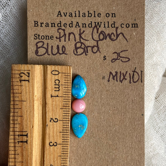 Blue Bird /  Pink Conch Cabochon - MIX101