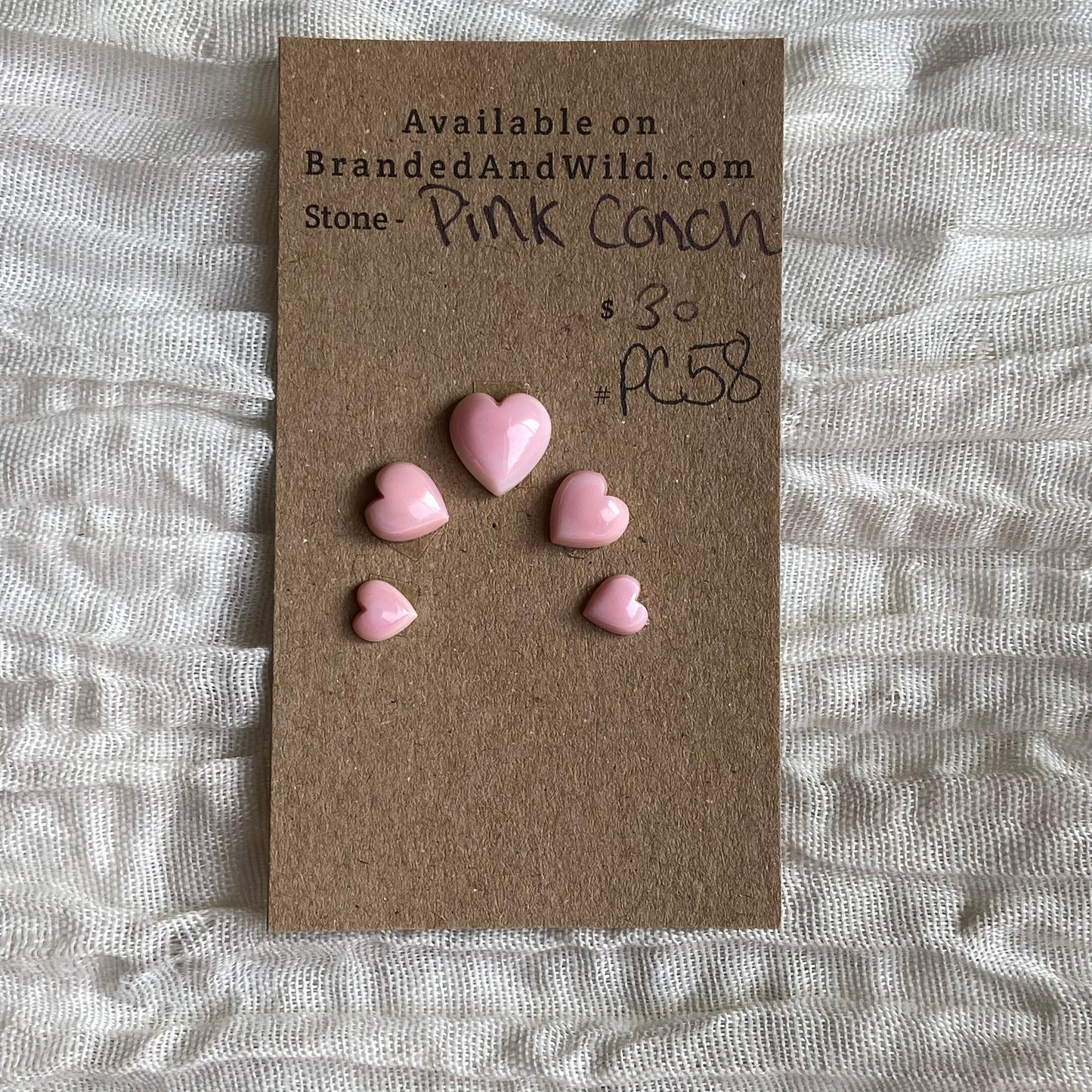 Pink Conch Cabochon - PC38 9B208C2C-1E2B-4DB2-A80B-4ABC12A5CA0E Brandedandwild.com