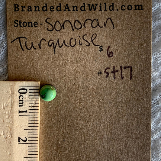 Sonoran Turquoise Cabochon - ST17