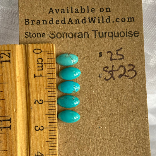 Sonoran Turquoise Cabochon - ST23