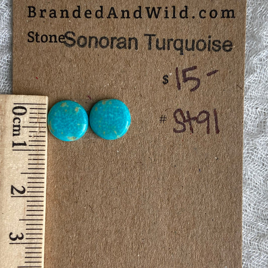 Sonoran Turquoise Cabochon - ST91