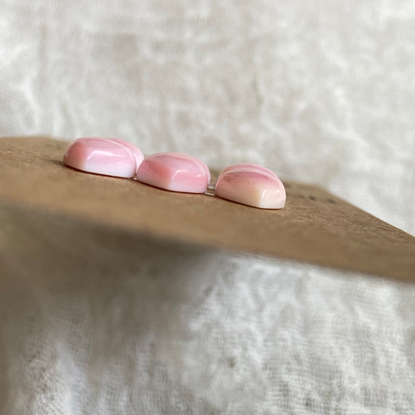 Pink Conch Cabochon - PC36 9B7BE9A3-2E04-4151-B585-645D2E6C1746 Brandedandwild.com