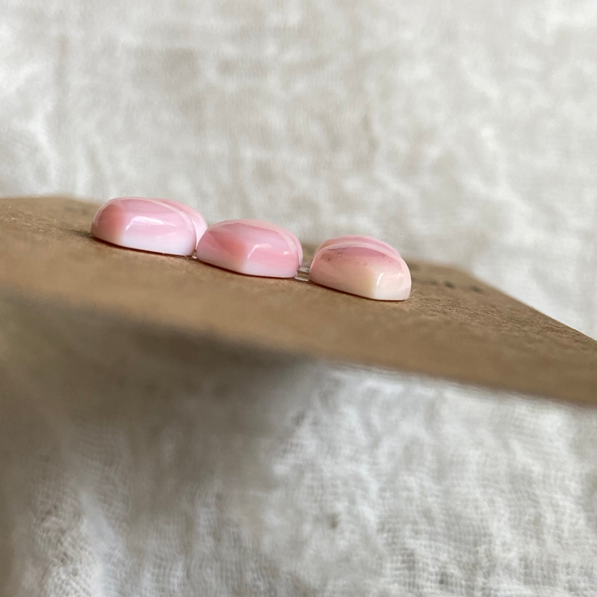 Pink Conch Cabochon - PC36 9B7BE9A3-2E04-4151-B585-645D2E6C1746 Brandedandwild.com
