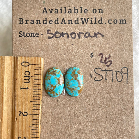 Sonoran Turquoise Cabochon - ST109 9B84D89D-A9DD-43F9-9D0B-AEFAA1A6A5CE Brandedandwild.com