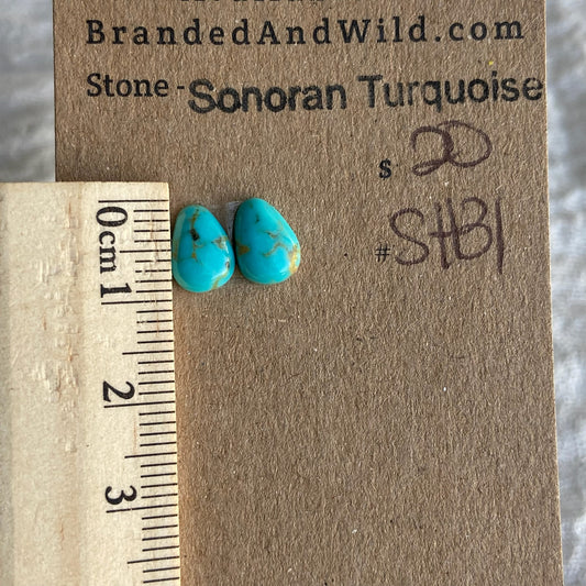 Sonoran Turquoise Cabochon - ST131