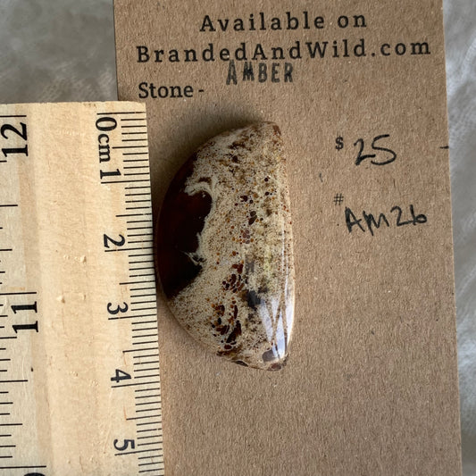 Amber Cabochon AM26
