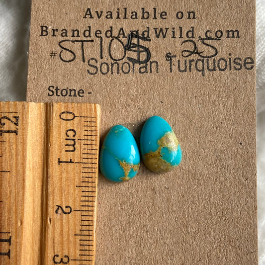 Sonoran Turquoise Cabochon - ST105 9B946E70-FCD5-475E-9CCF-DB40255E5513 Brandedandwild.com