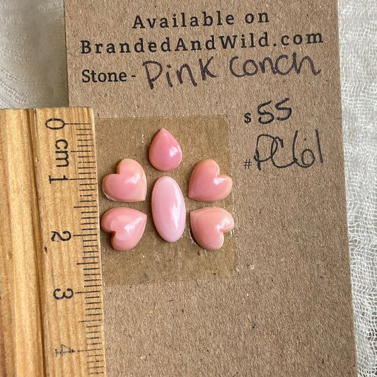 Pink Conch Cabochon - PC61 9BC2077C-79B7-4AEA-80C3-AA2F3F79EC2D Brandedandwild.com