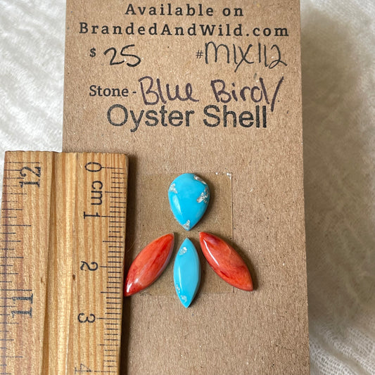 Oyster Shell / Blue Bird Cabochon - Mix112 9BDF5548-B18E-45BA-87FF-4DAECA07B7D0 Brandedandwild.com