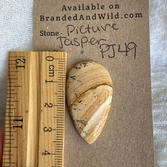 Picture Jasper Cabochon - PJ49