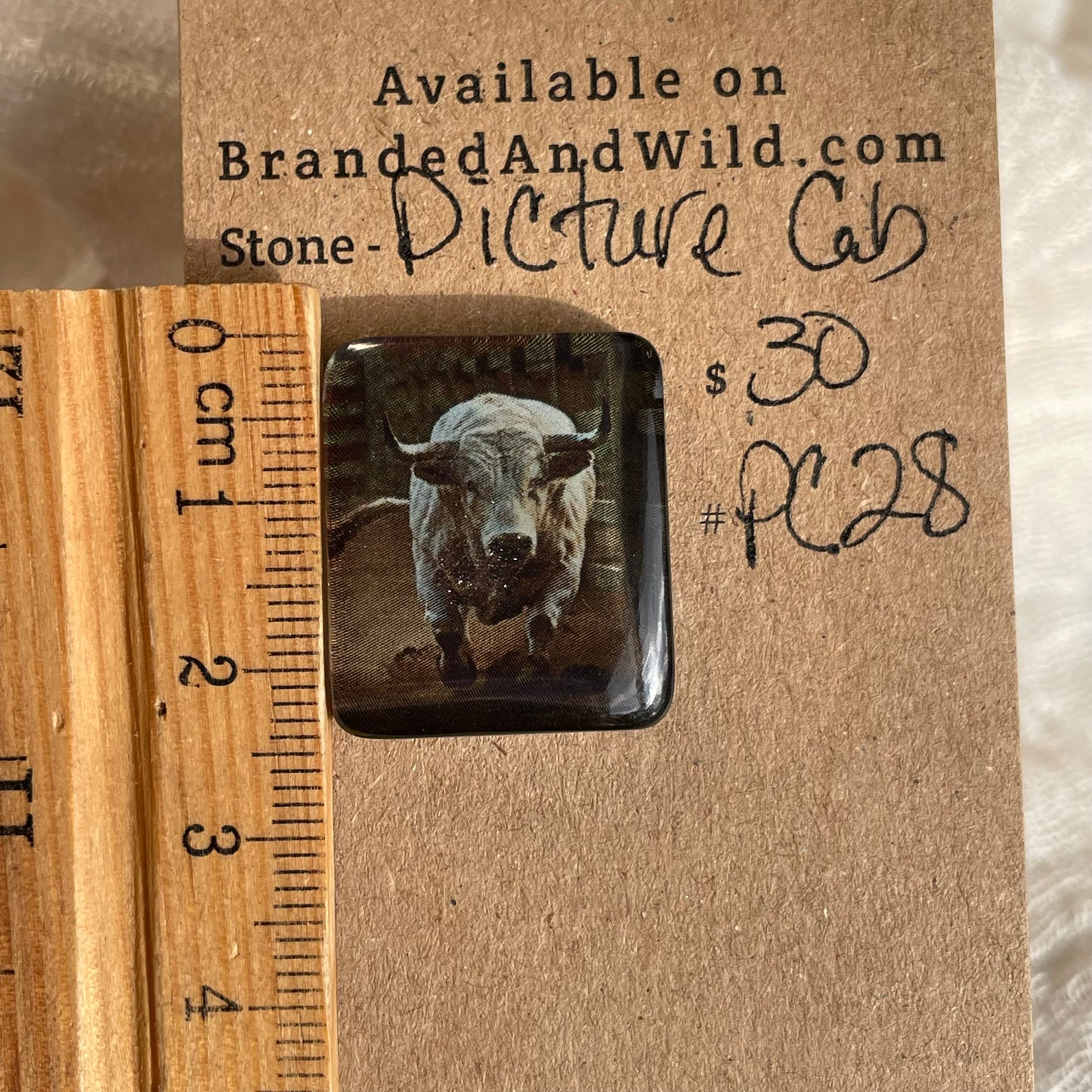 Picture Cabochon - Cabochon - PC28 9C537ECD-11D6-4C45-A1A9-78F56A9F0003 Brandedandwild.com