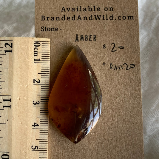 Amber Cabochon AM20